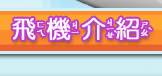 飛機介紹
