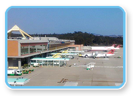 停機坪