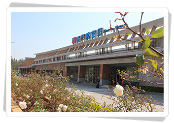 Terminal Appearance